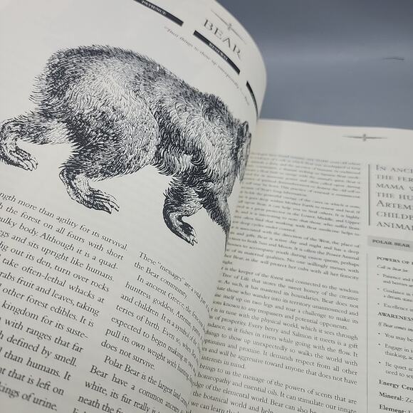 The Shaman's Guide to Power Animals by Lori Morrison Paperback - Picture 15 of 16